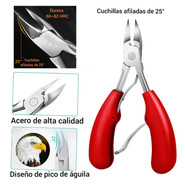 Alicate cortaúñas pico de águila para uñas encarnada - Image 8